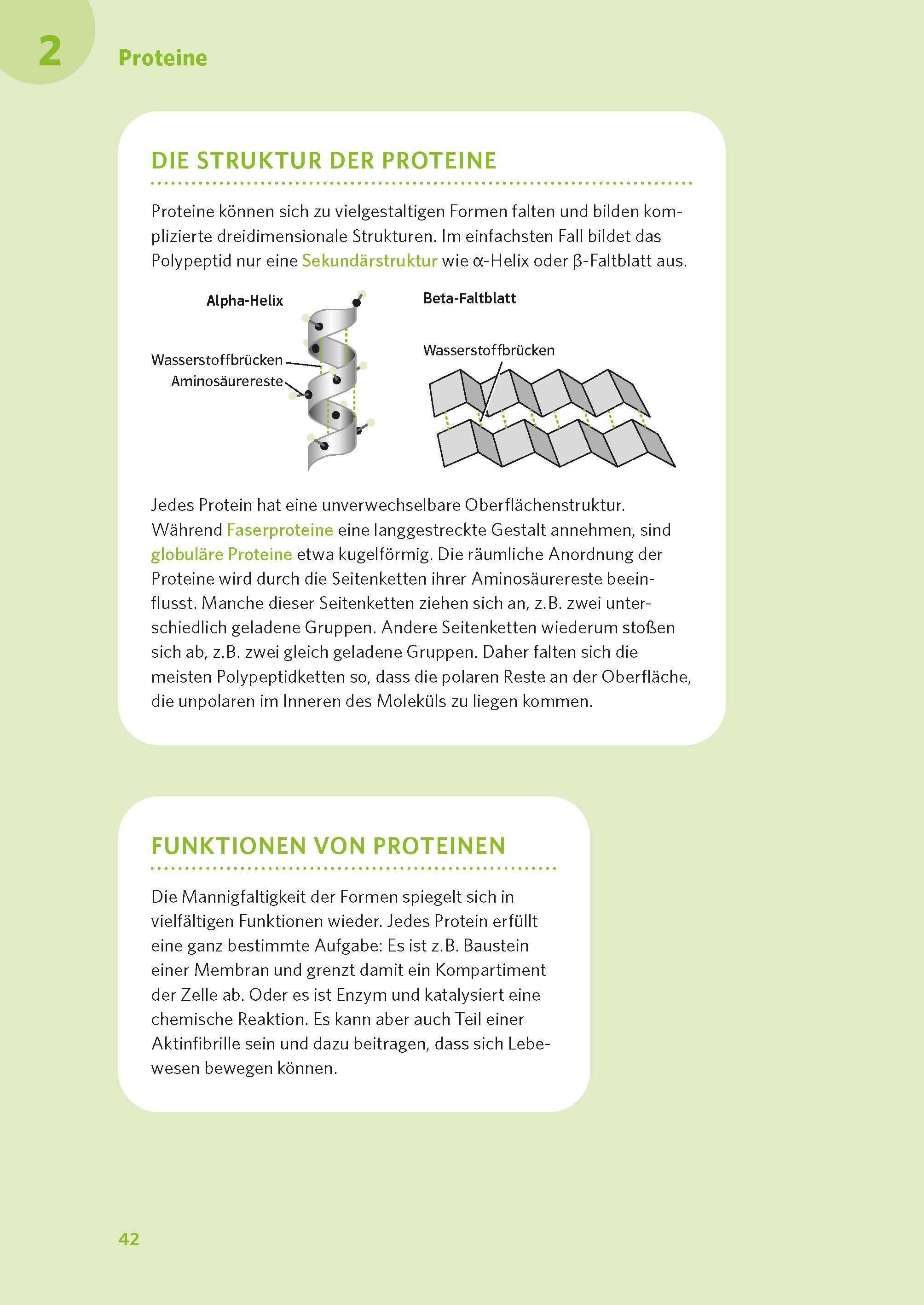 PONS Abi-Check XXL Biologie